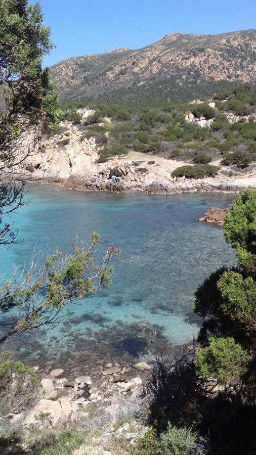 Appartamento A Pula In Zona Residenziale Bagian luar foto