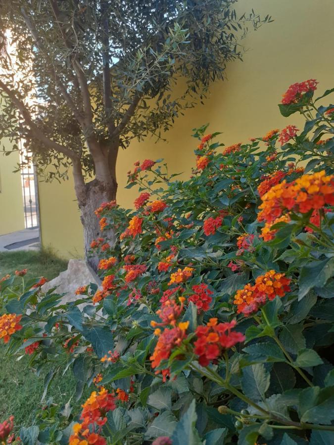 Appartamento A Pula In Zona Residenziale Bagian luar foto