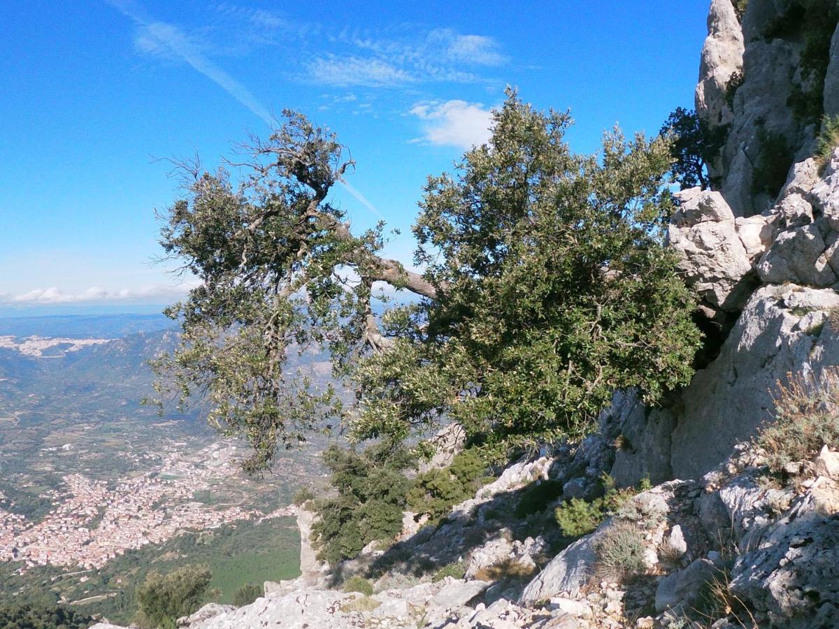Appartamento A Pula In Zona Residenziale Bagian luar foto