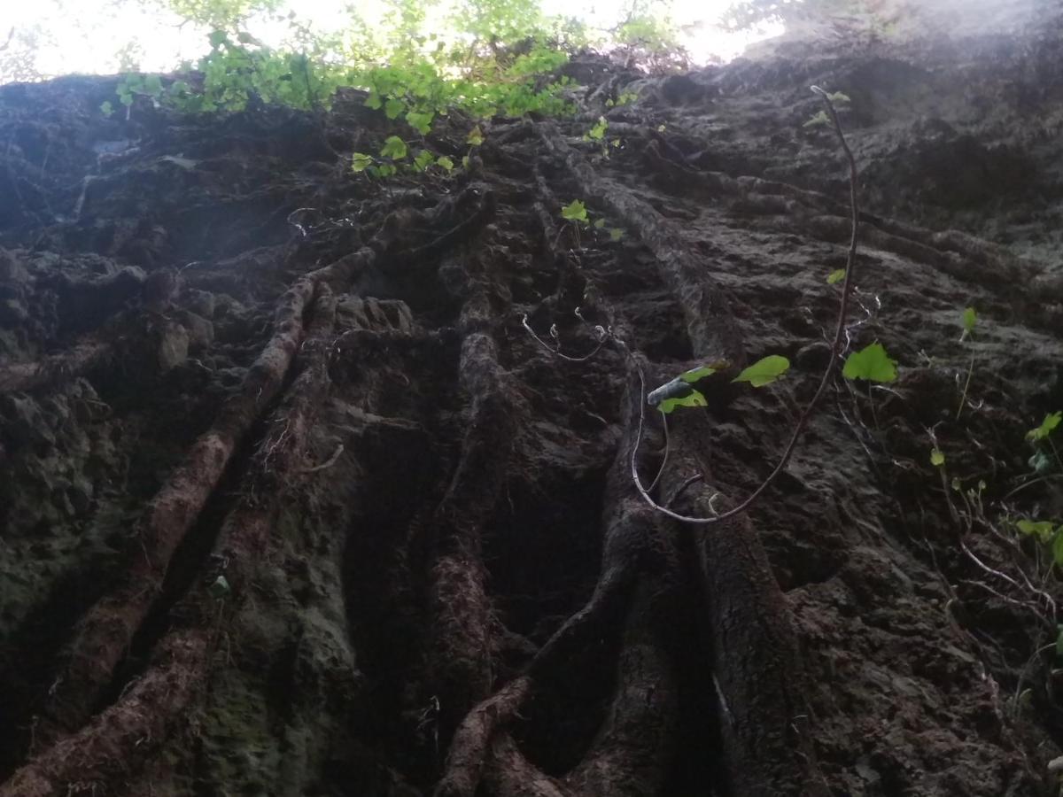 Appartamento A Pula In Zona Residenziale Bagian luar foto