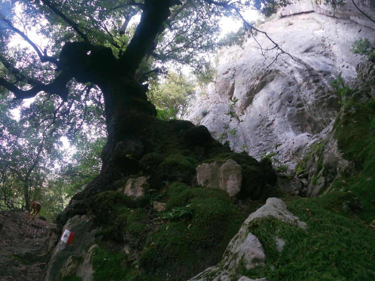 Appartamento A Pula In Zona Residenziale Bagian luar foto